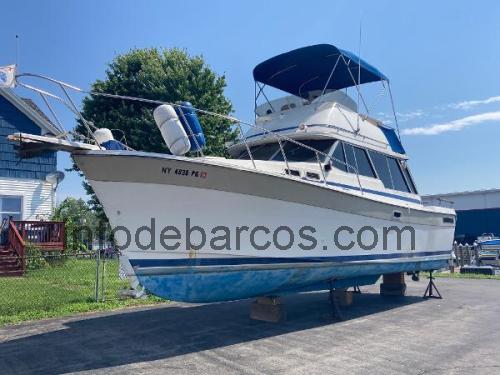Bayliner 3270 Explorer opinión y ficha técnica